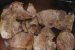 Carne de porc cu ciuperci si smantana la cuptor-3