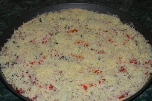 Pizza cu de toate (motaneasca)