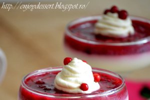 Panna cotta cu merisoare