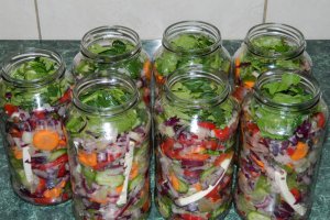 Salata asortata pentru iarna (reteta Motan)
