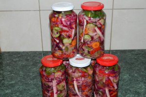 Salata asortata pentru iarna (reteta Motan)