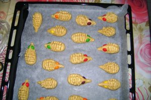 Biscuiti arici