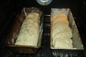 Paine de casa