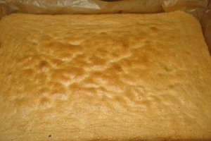 Prajitura cu crema de nuca si zmeura