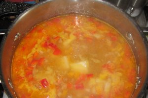 Ciorba taraneasca cu carne de porc si legume