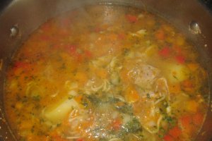 Ciorba taraneasca cu carne de porc si legume