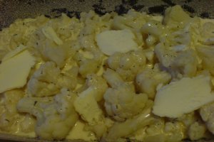 Budinca de conopida