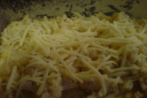 Budinca de conopida