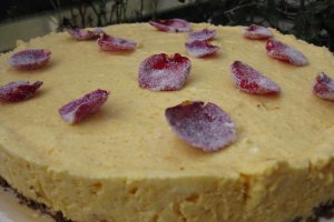 Aprikosenparfait Torte (Tort parfait de caise)