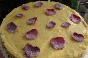 Aprikosenparfait Torte (Tort parfait de caise)