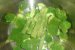 Supa crema de broccoli si sparanghel verde-4