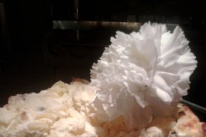 Budinca de paste cu branza dulce si smantana