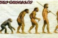 Despre originea speciilor