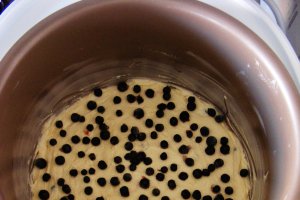 Prajitura cu lamaie si afine la Multicooker