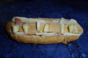 Sandvich cameleon