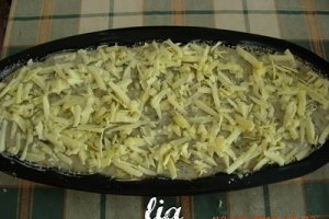Chec din ciuperci