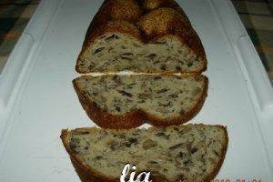 Chec din ciuperci