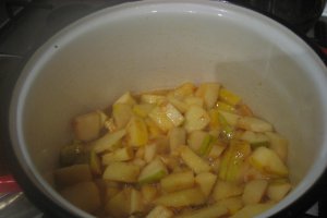 Piept de pui cu cartofi la punga cu sos de gutui
