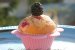 Muffins cu fructe de padure-1