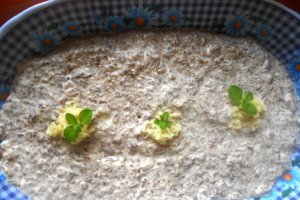 Salata de ghebe