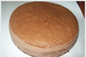 Tort cu mousse de ciocolata si jeleu