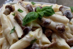 Penne cu ciuperci si sos alb