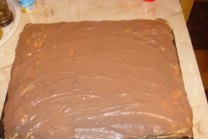 Foi cu bicarbonat de amoniu(saligar) si crema de ciocolata