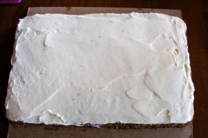 Tort pt copii cu doua feluri de ciocolata