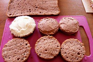 Tort pt copii cu doua feluri de ciocolata