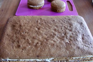 Tort pt copii cu doua feluri de ciocolata