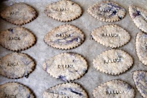 Biscuiti cu afine si lamaie