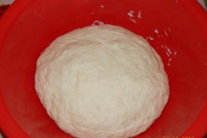 Pizza Calzone