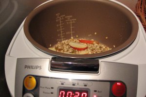 Fulgi de ovaz cu mere si scortisoara, la Multicooker
