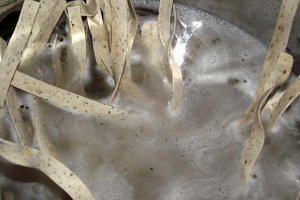 Paste cu busuioc, ciuperci si sos iute de gogosar