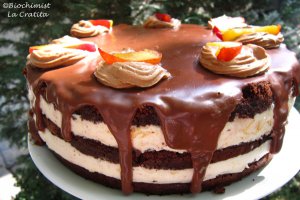 Tort cu crema de nectarine