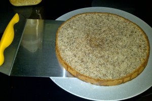 Tort cu nuca si ciocolata