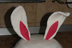 Tort Iepuras