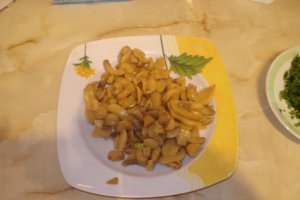 Tocanita din piept de pui cu ciuperci si piure de cartofi - RETETA CU NR. 200