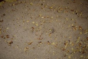 Coronita cu ciocolata
