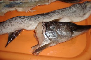 Stiuca umpluta
