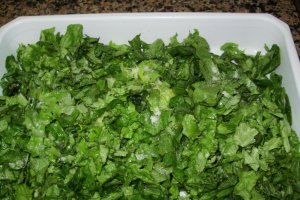 Salata din salata-post