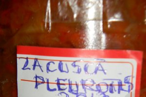 Orez cu spanac si zacusca