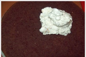 Tort cu crema de vanilie si alune