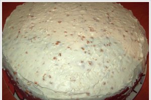 Tort cu crema de vanilie si alune
