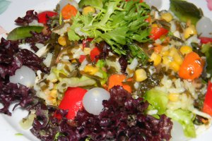 Salata cu alge de mare -2