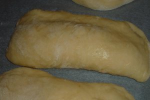 Placinte cu branza