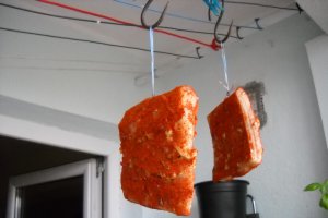 Sunca de casa