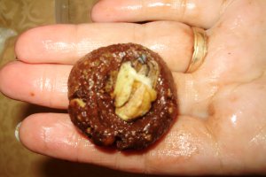 Rafaello negre (Salam de biscuiti reteta)-post