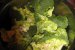 Salata de brocoli-0