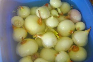 Lebar